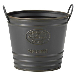 Aؔ  FV/vg[T[NSDBR/UE232y01z K[fjOE|pi t[|bg ACAEuL