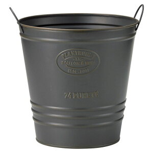 Aؔ  FV/vg[ODBR/UE244y01z K[fjOE|pi t[|bg ACAEuL