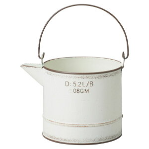 Aؔ  FV/oXsb`[SW/MH1662y01z K[fjOE|pi t[|bg ACAEuL