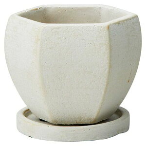 FV/GOUGh|bgSW(Mt)/TD845y01z K[fjOE|pi AؔEt[|bg Zg