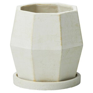 FV/|wh|bgSW(Mt)/TD853y01z K[fjOE|pi AؔEt[|bg Zg