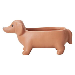 Aؔ  FV/_bNXtg|bgSBE/GF1896y01z K[fjOE|pi t[|bg eRb^(fĂ)