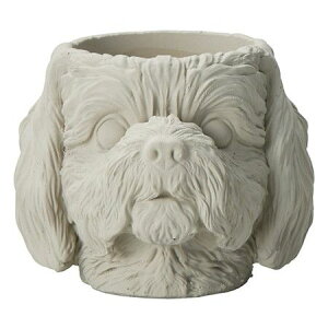 FV/JjbV|bgGY/TH196y01z K[fjOE|pi AؔEt[|bg Zg