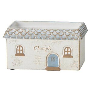 FV/VsChMBL/TH195y01z K[fjOE|pi AؔEt[|bg Zg