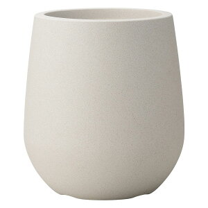 Aؔ  FV/T[uEhMW/AK394y01z K[fjOE|pi t[|bg 