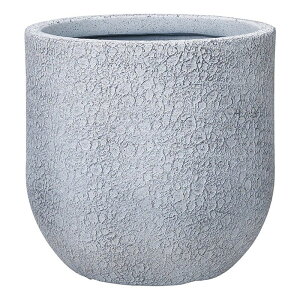 Aؔ  FV/SWfT[NW/MS1479y01z K[fjOE|pi t[|bg 