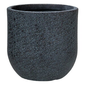 Aؔ  FV/SWfT[NB/MS1481y01z K[fjOE|pi t[|bg 