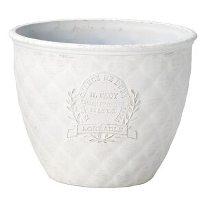 Aؔ  FV/CtHT[NSW/MS1447y01z K[fjOE|pi t[|bg 