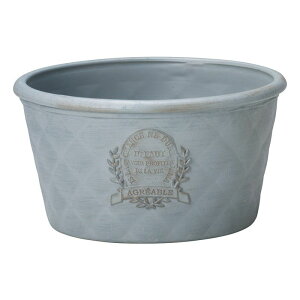 Aؔ  FV/CtHEhSBLGY/MS1457y01z K[fjOE|pi t[|bg 