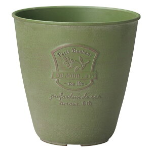 Aؔ  FV/{i[I[uT[NSGR/MS1467y01z K[fjOE|pi t[|bg 