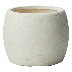 Aؔ  FV/vbgEhMW/G1089y01z K[fjOE|pi t[|bg OXt@Co[