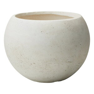 Aؔ  FV/vbg{EW/G1060y01z K[fjOE|pi t[|bg OXt@Co[