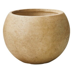 Aؔ  FV/vbg{EBE/G1061y01z K[fjOE|pi t[|bg OXt@Co[