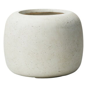 Aؔ  FV/[EhMW/G1065y01z K[fjOE|pi t[|bg OXt@Co[