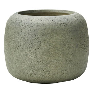 Aؔ  FV/[EhMGR/G1069y01z K[fjOE|pi t[|bg OXt@Co[