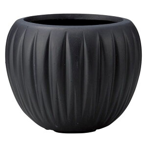 Aؔ  FV/fe[T[NSB/G1036y01z K[fjOE|pi t[|bg OXt@Co[