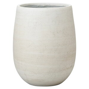 Aؔ  FV/EjT[NW/GF5282y01z K[fjOE|pi t[|bg OXt@Co[