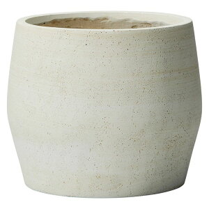 Aؔ  FV/StT[NLW/GF5257y01z K[fjOE|pi t[|bg OXt@Co[