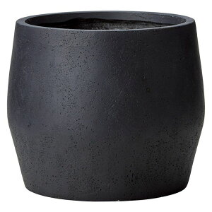 Aؔ  FV/StT[NLB/GF5263y01z K[fjOE|pi t[|bg OXt@Co[