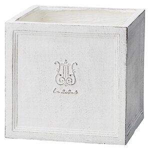 Aؔ  FV/fr[XNGAMW/GF1867y01z K[fjOE|pi t[|bg OXt@Co[