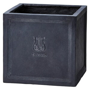 Aؔ  FV/fr[XNGAMB/GF1873y01z K[fjOE|pi t[|bg OXt@Co[