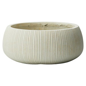 Aؔ  FV/GN[EhW/GF5279y01z K[fjOE|pi t[|bg OXt@Co[