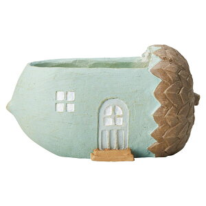 Aؔ  FV/OhChSGR/GF7137y01z K[fjOE|pi t[|bg OXt@Co[