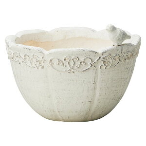 Aؔ  FV/I][|T[NW/GF7105y01z K[fjOE|pi t[|bg OXt@Co[