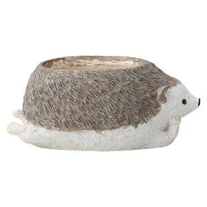 Aؔ  FV/NVFG\|bg/GF7113y01z K[fjOE|pi t[|bg OXt@Co[