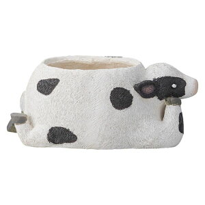 FV/NVFut|bg/GF7114y01z K[fjOE|pi AؔEt[|bg OXt@Co[