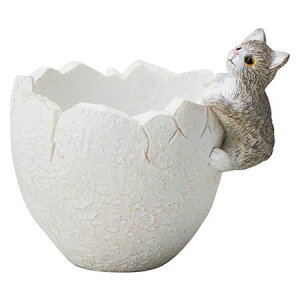 Aؔ  FV/VEt|bgM/5E4419y01z K[fjOE|pi t[|bg W