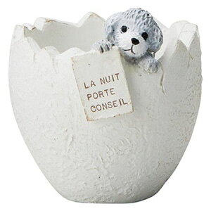 Aؔ  FV/VAEt|bgM/5E4421y01z K[fjOE|pi t[|bg W