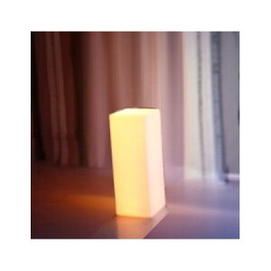 Gracias/LED�f�B�X�v���C�L���[�u80cm/K-448�y01�z �K�[�f�j���O�E���|�p�i �v�����^�[ �v���X�`�b�N �� �O�b�Y ���� �A�ؔ� �ƒ�؉� �ϗt�A�� ������� ���킢�� �N���X�}�X