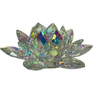 Gracias/NX^[^X30cm/K-466y01z ԎށEt[Xg fR[Vp[cEf d