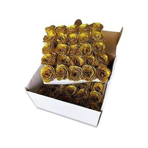 yΖӃZ[zy\[vt[zGracias/Ob^[t[wbh S[h/F-308y01z vU[uht[ tOX\[vt[ \[vt[ԍ