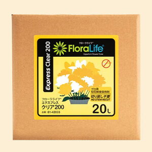 IAVX/GNXvX NA 20Ly01z ԎށEt[Xg ؉ԉ܁Eh{ ̑؉ԉh{