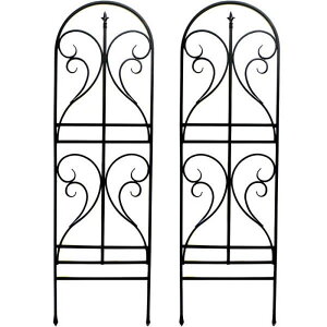 yzZ܂X^C/ACAgX tBjA 2g ubN/IF-FN7950-2P-BLKy01z K[fjOE|pi K[ft@j`[EƋ eBXEtFX