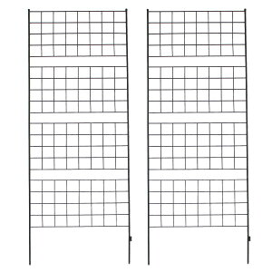 yzZ܂X^C/ACAtFX 226 uOtv 2g ubN/IF-GR024-2P-BLKy01z K[fjOE|pi K[ft@j`[EƋ eBXEtFX
