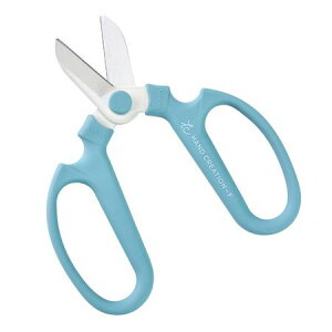 nhNG[V X[L[ANA/AH000037-SAQy01z ԎށEt[Xg (͂)E