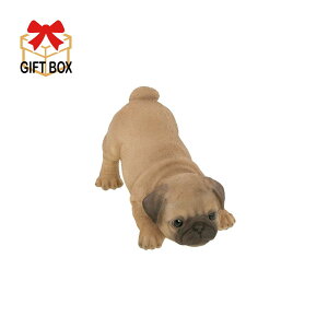 Bennyfs/pOihAXgbp[j/QB-006Ay08z X܃fBXvCEX uEIuWF Xg[()IuWF