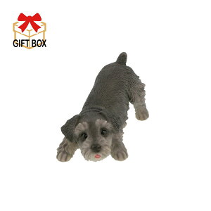 Bennyfs/ViEU[ihAXgbp[j/QB-006Dy08z X܃fBXvCEX uEIuWF Xg[()IuWF