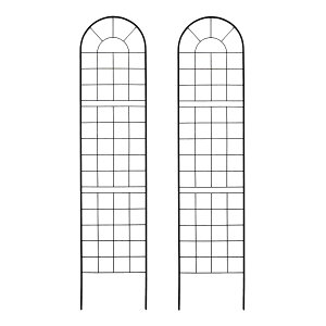 yzZ܂X^C/NVbNtFX220 nC^Cv 2g ubN/YB016H-2P-BLKy01z K[fjOE|pi K[ft@j`[EƋ eBXEtFX