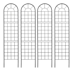 yzZ܂X^C/NVbNtFX220 nC^Cv 4g ubN/YB016H-4P-BLKy01z K[fjOE|pi K[ft@j`[EƋ eBXEtFX