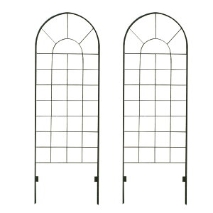 yzZ܂X^C/ACAtFX120(2g) ubN/YBIF-120-2Py01z K[fjOE|pi K[ft@j`[EƋ eBXEtFX