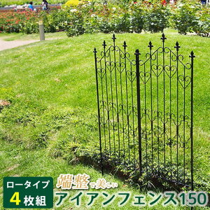 yzZ܂X^C/ACAtFX[150 4g ubN/DNF150-4Py01z K[fjOE|pi K[ft@j`[EƋ eBXEtFX