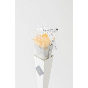 �y�n���h���C�h�t�����[�zOrangeDeco/�V���O���X�e�� YE/F-3485�y07�z[2��] �h���C�t�����[ �h���C�t�����[�M�t�g�ԍ� �n���h���C�h�ޗ� �N���t�g�f�� �N���X�}�X �o���̓�