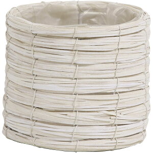 SG Wonder zone/RCOEbhL zCg/747-008Wy07z K[fjOE|pi AؔEt[|bg Jo[