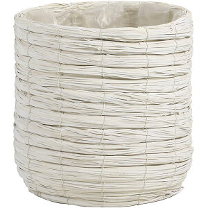 SG Wonder zone/RCOEbhPKC8p/747-08WZy07z K[fjOE|pi AؔEt[|bg Jo[