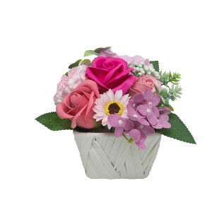 �y�\�[�v�t�����[�zHillTop/�L���[�g�X�N�G�A/SM-6113�y01�z �v���U�[�u�h�t�����[ �t���O�����X�\�[�v�t�����[ �\�[�v�t�����[�����i