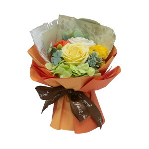 �y�\�[�v�t�����[�zHillTop/�E�C�b�V���R�A�u�[�P/SM-6186�y01�z �v���U�[�u�h�t�����[ �t���O�����X�\�[�v�t�����[ �\�[�v�t�����[�����i